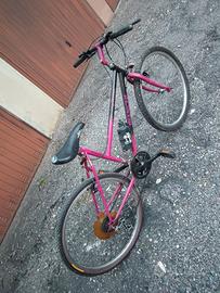 Mountain bike Bianchi