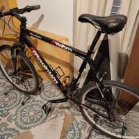 Mountain bike Magnum