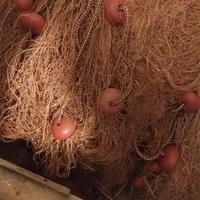 Reti da pesca Tramagli