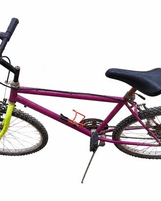 Bici adulto 