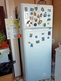frigo 