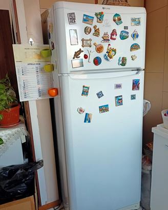 frigo 