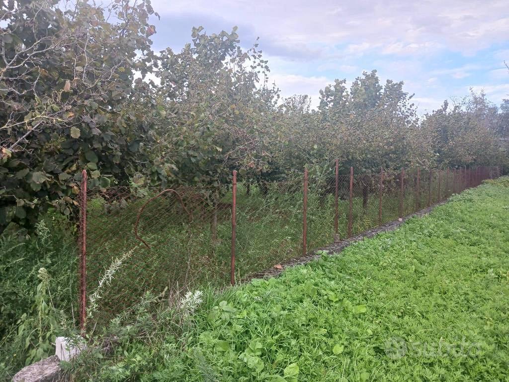 Terreno di 800 m² a Mercato San Severino - Altro