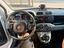 Immagine 11