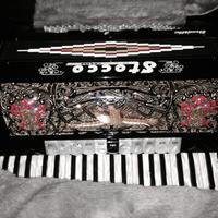 Fisarmonica stocco