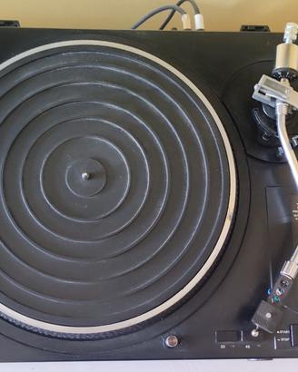 piatto DSD 77 dj 