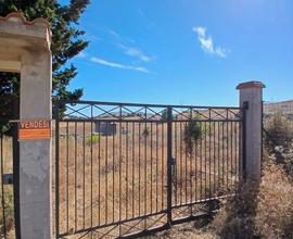 Terreno agricolo panoramico a Santa Cristina Gela