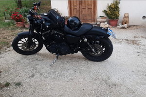 Harley devinson 883 xl