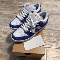 Nike Dunk sb pro iso