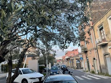 Immobile indipendente Angolare Zona Via Novalucell