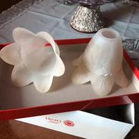 CAPANNELLE IN VETRO .