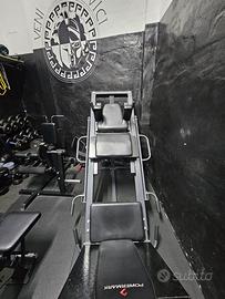Leg press / hack squat