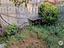 Immagine 12