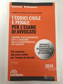 Codici civile+Penale massime giurisprudenza