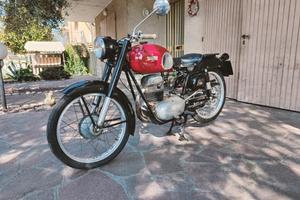 Moto Bianchi Tonale 