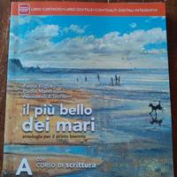 IL PIÙ BELLO DEI MARI E CORSO SCRITTURA