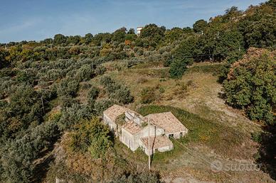 CZ, S.Elia, terreno ulivetato con casale
