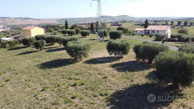 TERRENO AGRICOLO 12000 MQ