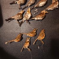 Stampi cesena sassello impagliati 