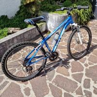 mountain bike
