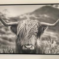 Quadro di Yak, misura 70 x 120.