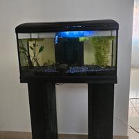 Acquario 100 L