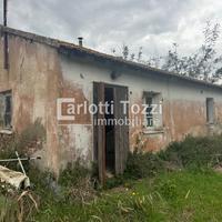 Rif.03685| capannone grosseto