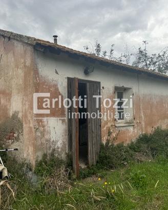 Rif.03685| capannone grosseto