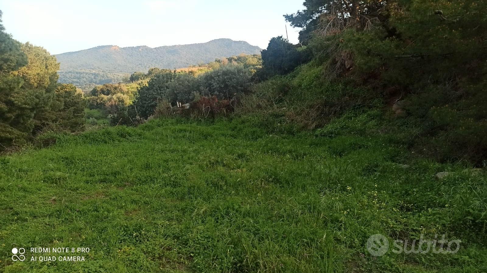 Terreno agricolo 400 metri dal mare - Vista 2