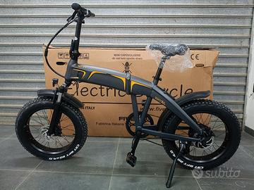 bici elettrica 