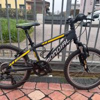Mountain bike da bambino