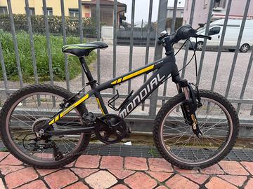 Mountain bike da bambino