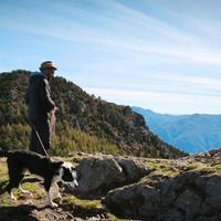 Dog sitter