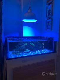 Acquario marino