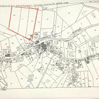 Uliveto sito in Canneto,Fara in Sabina (RI)