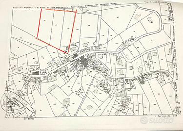 Uliveto sito in Canneto,Fara in Sabina (RI)