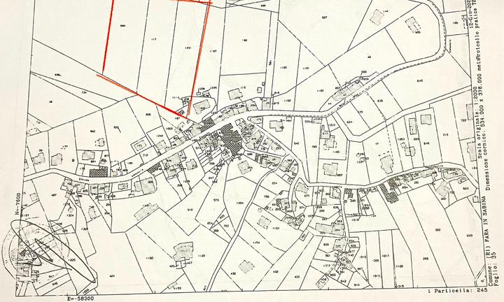 Uliveto sito in Canneto,Fara in Sabina (RI)