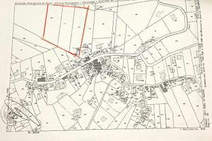 Uliveto sito in Canneto,Fara in Sabina (RI)