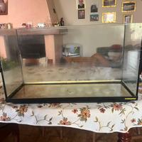Acquario 130 litri