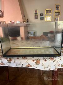 Acquario 130 litri