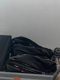 Coppia di  paseggini