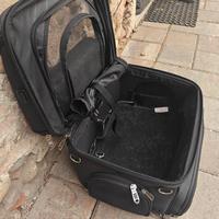 saddlemen borsa trasporto  cani moto pet Voyager 