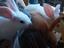 Immagine 3