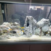 Mobile ed Acquario 220 litri