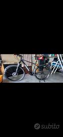 Bici mtb “29