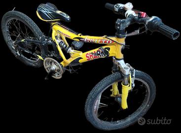 bicicletta ragazzo