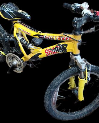 bicicletta ragazzo