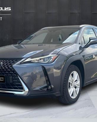 Lexus UX 250h Business 2wd cvt
