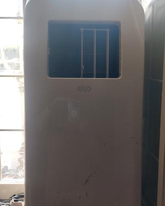 climatizzatore pinguino  argo compatto