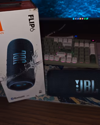 jbl flip 6